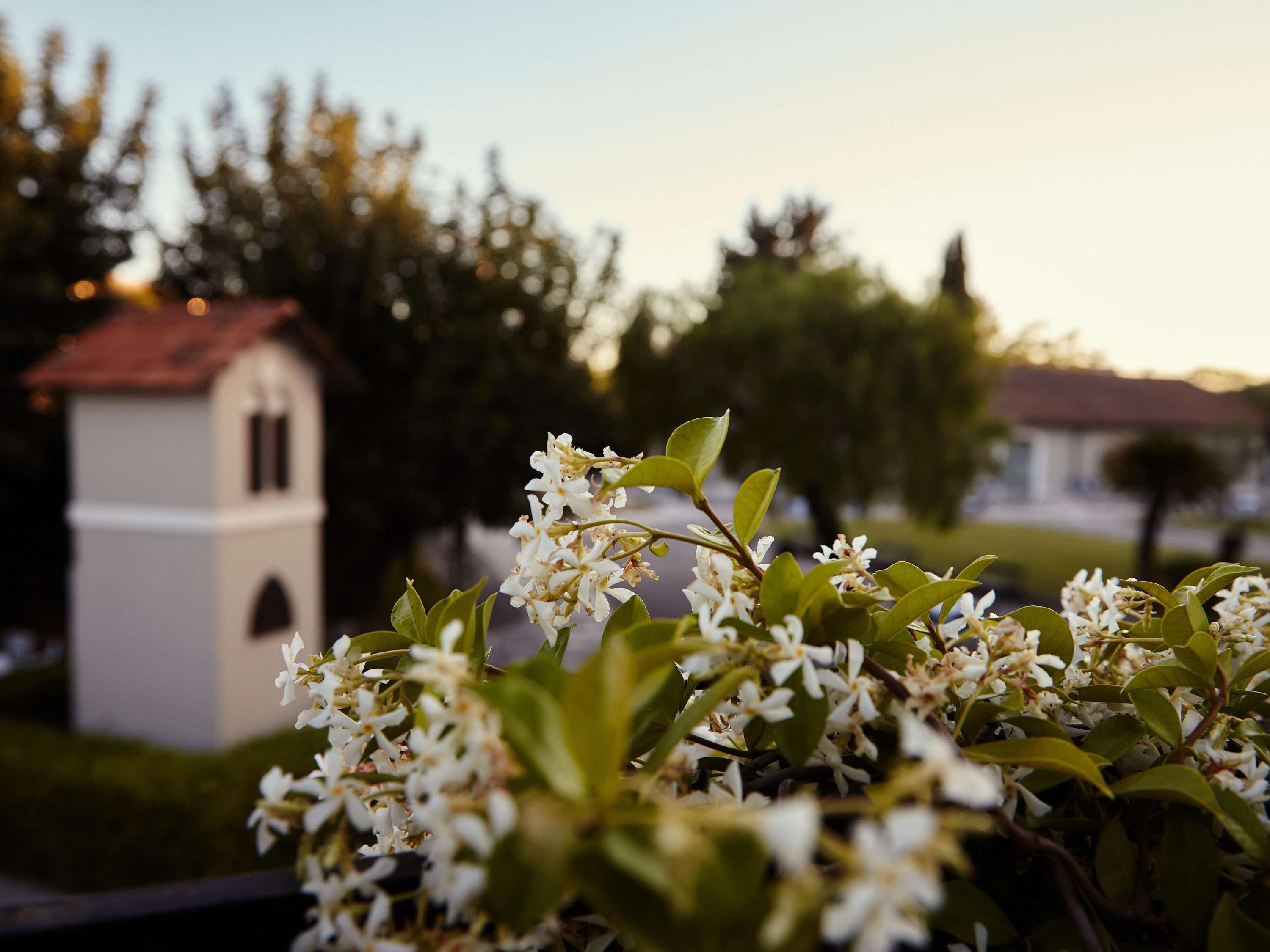 Mercure Villa Romanazzi Carducci Bari Bagian luar foto